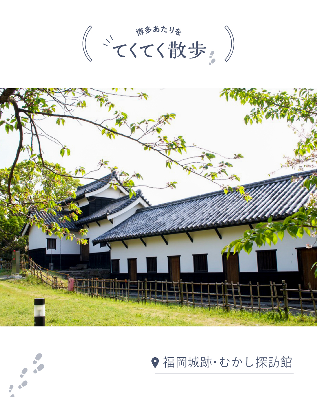 画像に alt 属性が指定されていません。ファイル名: 6afbf308ddfb0b26c8a3ec4cbda72ae8.jpg